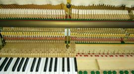 Timeline: Línea de Tiempo - Blog Aprendiendo El Mundo de los Fraccionarios