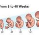 Baby development