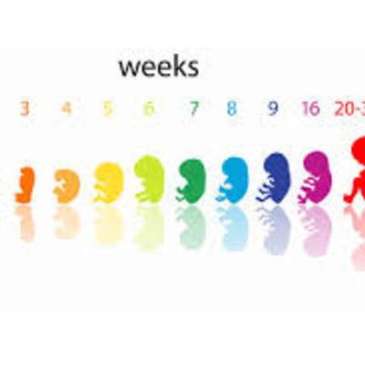 Timeline: I Had the Time of My L(Birth)ife