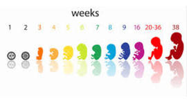 Timeline: I Had the Time of My L(Birth)ife