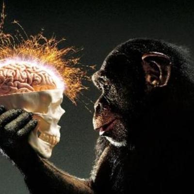 Timeline: Concepto de Inteligencia en la Historia