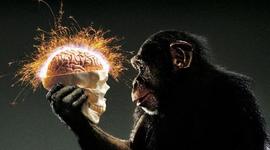 Timeline: Concepto de Inteligencia en la Historia