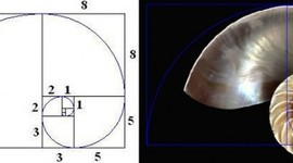 Timeline: Descubrimientos de los Números Racionales Q