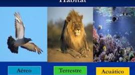 Timeline: HÁBITAT DE NUESTROS AMIGOS LOS ANIMALES