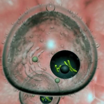 Timeline: Aportes que contribuyeron al estudio de la célula.