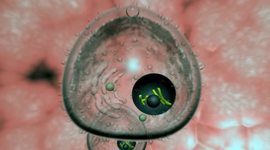 Timeline: Aportes que contribuyeron al estudio de la célula.