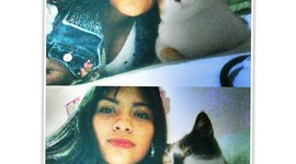 Timeline: Historia de mi vida