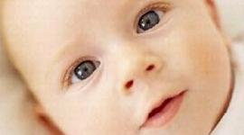 Timeline: Ages and Stages 6 months- 1 year