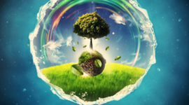 Timeline: Antecedentes de la Ecología.