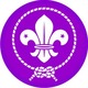 Parches insignias scouts venezuela d nq np 236911 mlv20666118609 042016 f