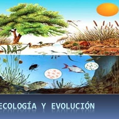Timeline: EVOLUCION DE LA ECOLOGIA