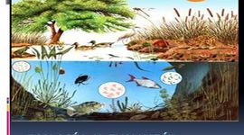 Timeline: EVOLUCION DE LA ECOLOGIA