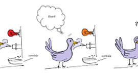 Timeline: Condicionamiento Operante