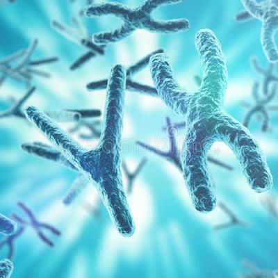 Timeline: 5 descubrimientos mas importantes de la medicina