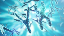 Timeline: 5 descubrimientos mas importantes de la medicina