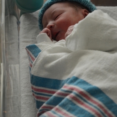 Timeline: Erikson Timeline