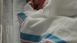 Timeline: Erikson Timeline