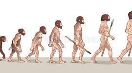Timeline: LOS HOMINIDOS