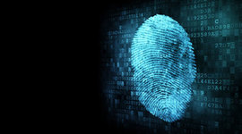 Timeline: Ciencia forense  e Informática forense