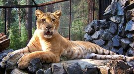 Timeline: Ari y Valen