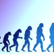 Evolution 0