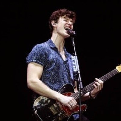 Timeline: Shawn Mendes