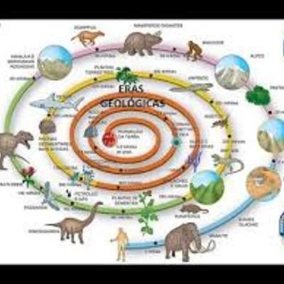 Timeline: Evolución de la vida en la tierra