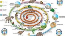 Timeline: Evolución de la vida en la tierra