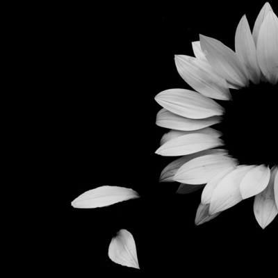 Timeline: WWll Magazine Timeline