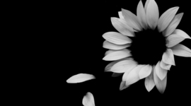 Timeline: WWll Magazine Timeline