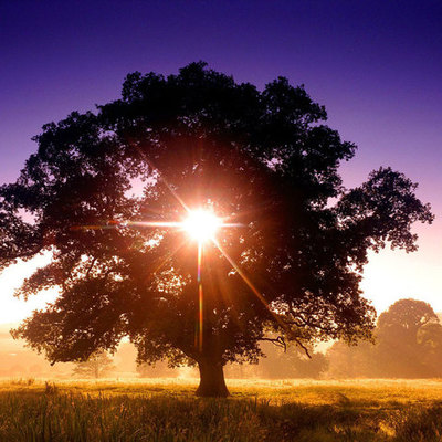 Timeline: nuestra vida