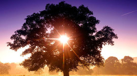 Timeline: nuestra vida