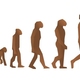 Evolucion del hombre t10176
