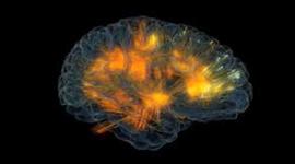 Timeline: Historia de la psiquiatría