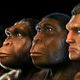 1432811674 150317121120humanosevolucion624x351sciencephotolibrary