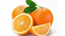 Timeline: 2018 Orange Global Art