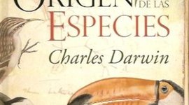 Timeline: Ideas sobre Evolución