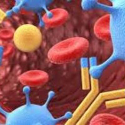 Timeline: Historia de México en contraste con la Historia de la inmunología.