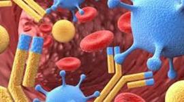Timeline: Historia de México en contraste con la Historia de la inmunología.