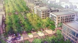 Timeline: Leyes y reglamentos-Planeamiento urbano