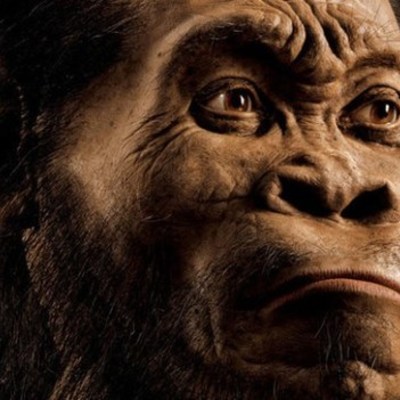 Timeline: Homínidos