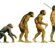 Human evolution1