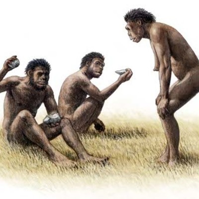 Timeline: HOMÍNIDOS