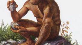 Timeline: HOMÍNIDOS