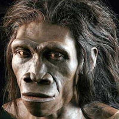 Timeline: Homínidos