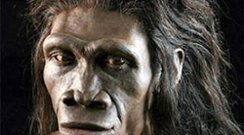 Timeline: Homínidos