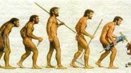 Timeline: Evolución Escuelas Del Pensamiento Administrativo