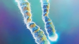 Timeline: Siglo y medio de genética