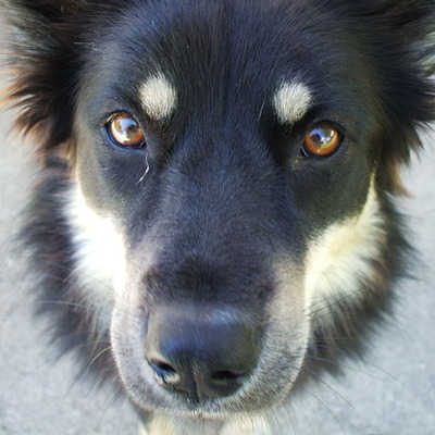 Timeline: My Life Timeline