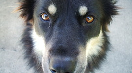 Timeline: My Life Timeline